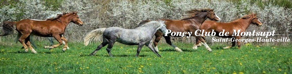                     Poney Club de Montsupt